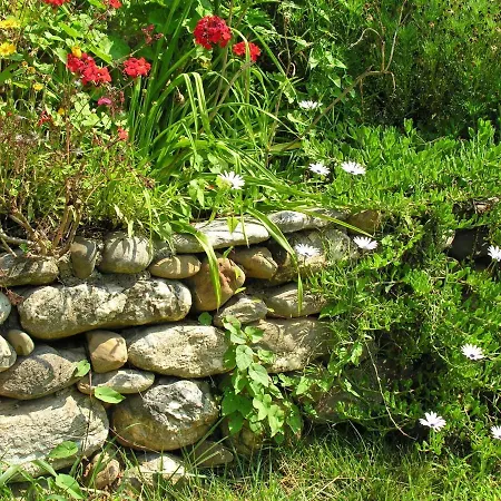 Σπίτι διακοπών Moriani-plage With Pool *