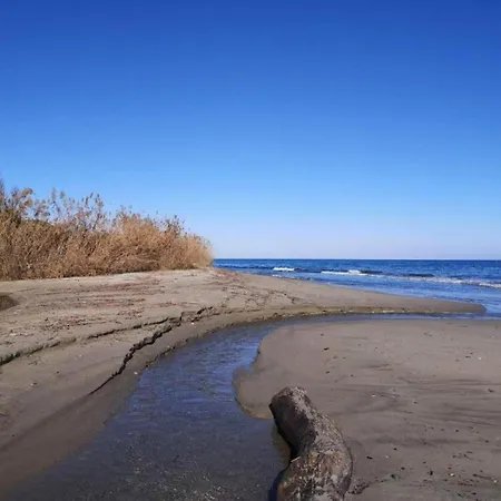 Σπίτι διακοπών Moriani-plage With Pool San-Nicolao