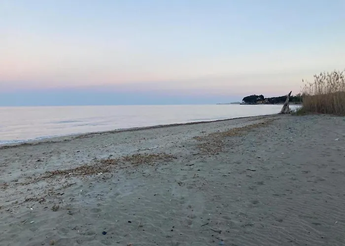 Moriani-plage With Pool בית נופש *