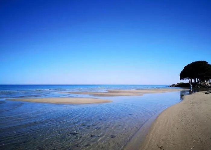 Moriani-plage With Pool * סן-ניקולאו